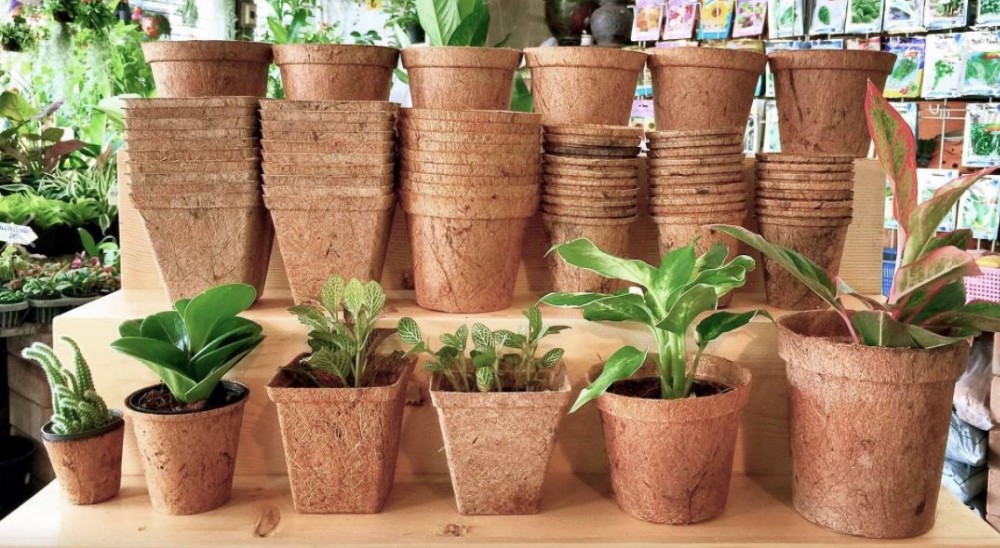 UTB81PQKxXfFXKJk43Otq6xIPFXaZ